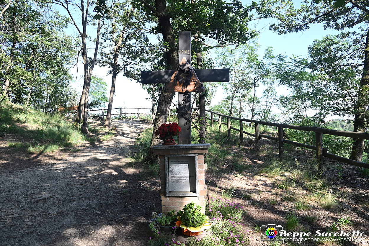 VBS_4743 - Il bosco fatato - Montaldo Roero.jpg
